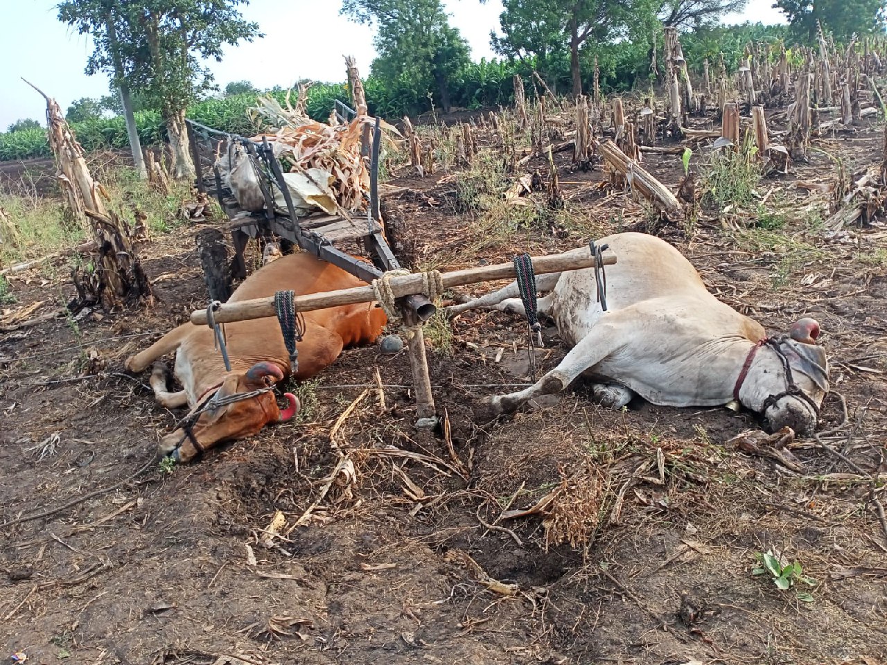 IMG_20230423_233421_040