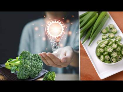 brain-food1_2023101099555